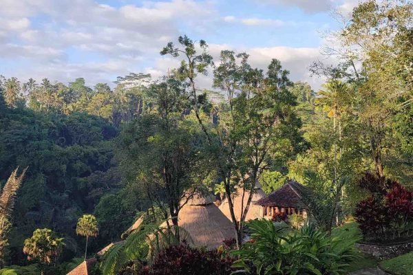 Jungle View from Ubud Villa